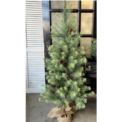 Black Valley Pine Tree 5'   Black Valley Pine Tree 5'