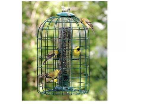  Caged Seed Tube Feeder 
