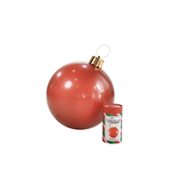 Inflatable Ornament