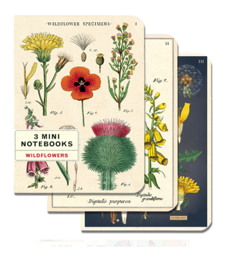 Cavallini Papers & Co Wildflowers Notepads