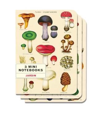 Cavallini Papers & Co Mushrooms Notepads