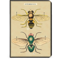 Bugs & Insects Notepads