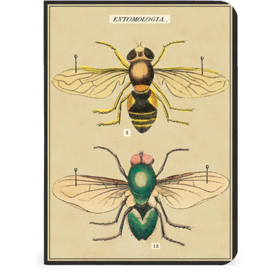 Bugs & Insects Notepads
