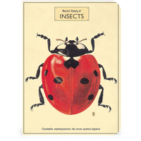 Bugs & Insects Notepads