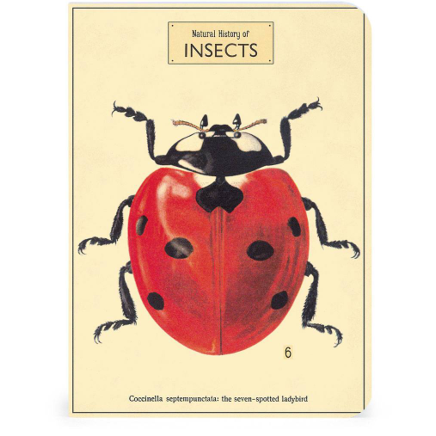 Bugs & Insects Notepads