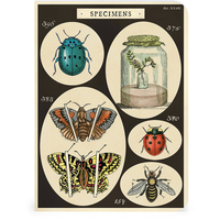 Bugs & Insects Notepads