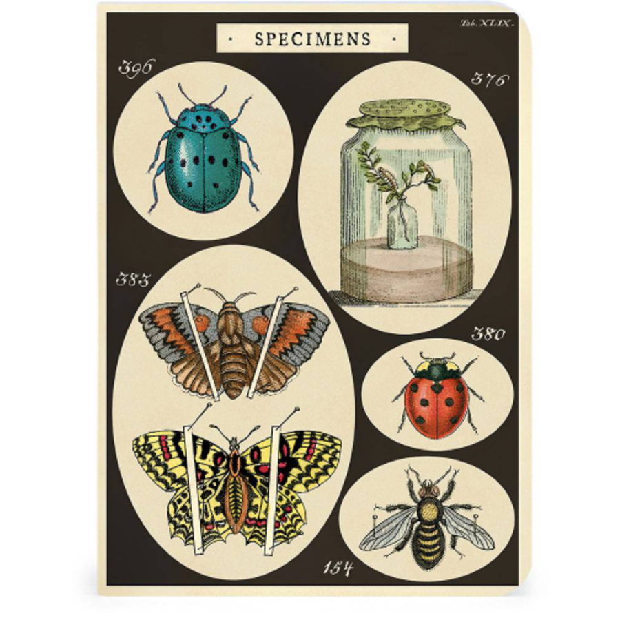 Bugs & Insects Notepads