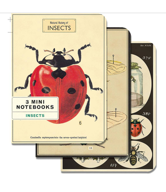Cavallini Papers & Co Bugs & Insects Notepads