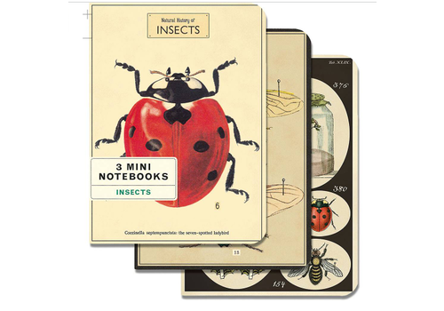  Cavallini Papers & Co Bugs & Insects Notepads 