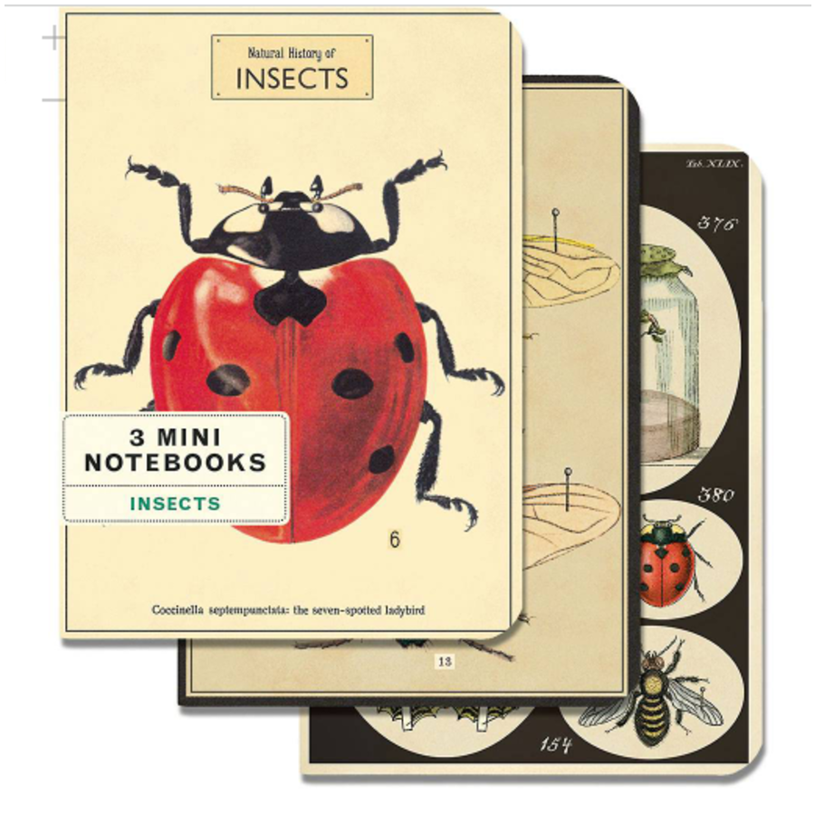 Bugs & Insects Notepads