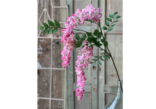  Waterfall Wisteria 36" 