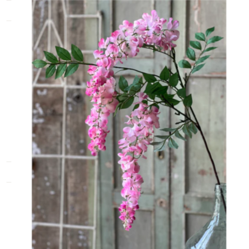  Waterfall Wisteria 36" 