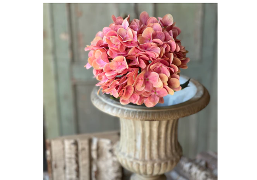 Cameo Hydrangea 22" 