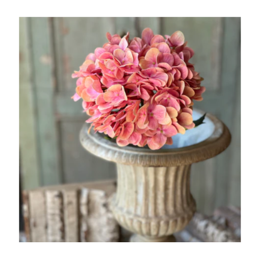  Cameo Hydrangea 22" 