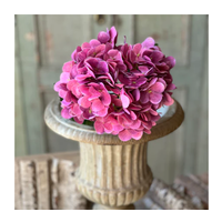 Cameo Hydrangea 22"