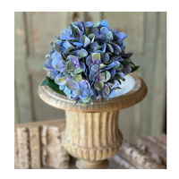 Cameo Hydrangea 22"