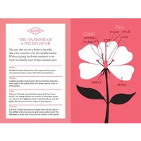 Pocket Nature: Flower Finding