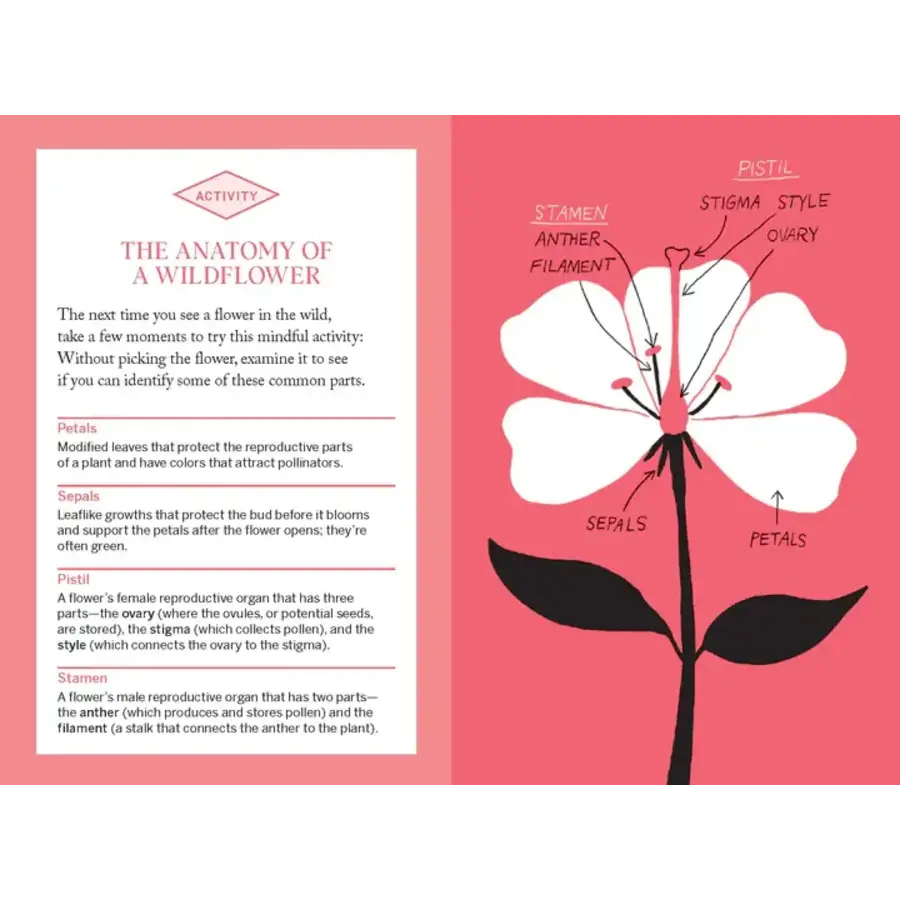 Pocket Nature: Flower Finding