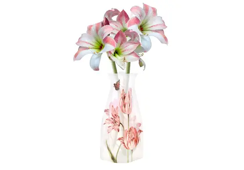 Modgy Expandable Vase Jacob Marrell Tulips 
