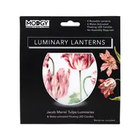 Luminary Lantern Jacob Marrell Tulips