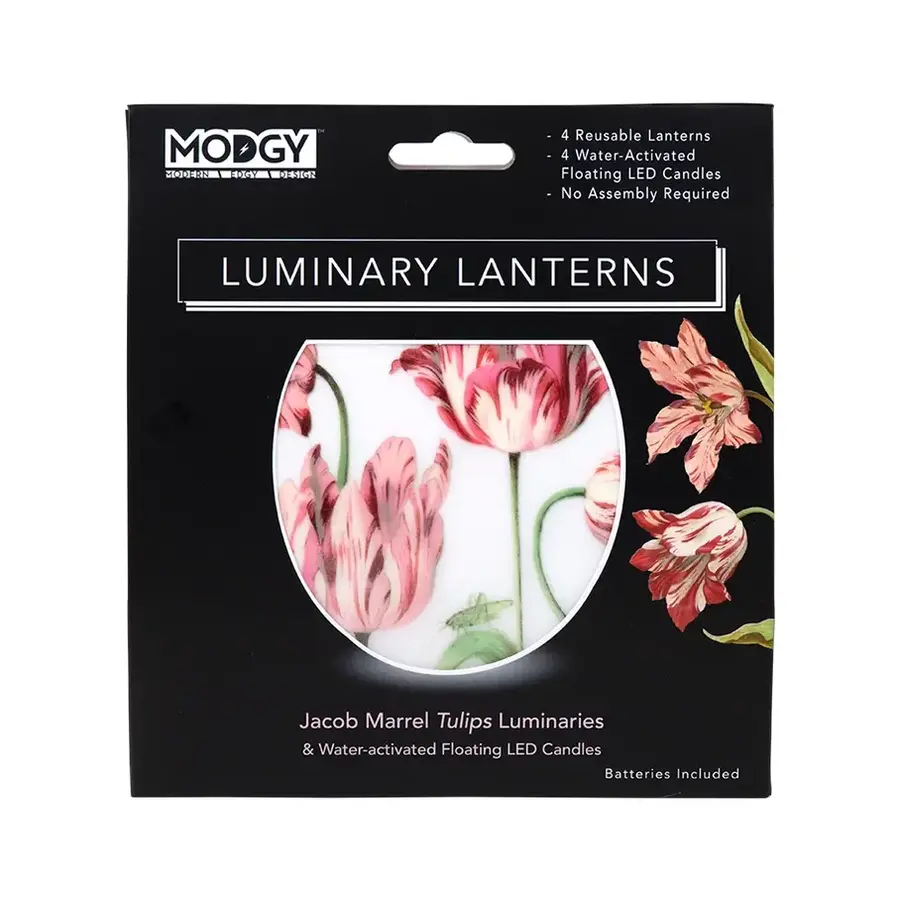 Luminary Lantern Jacob Marrell Tulips