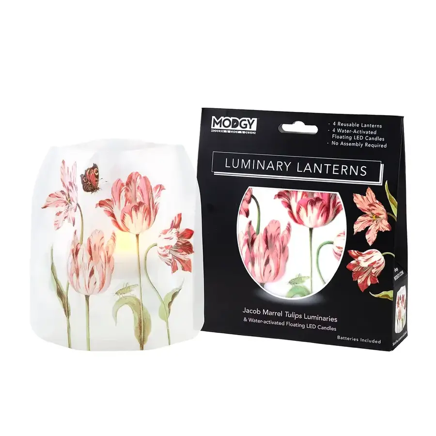Luminary Lantern Jacob Marrell Tulips