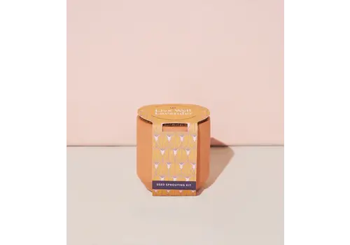  Modern Sprout Tiny Terracotta - Lavender 