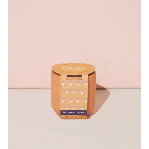  Modern Sprout Tiny Terracotta - Lavender 