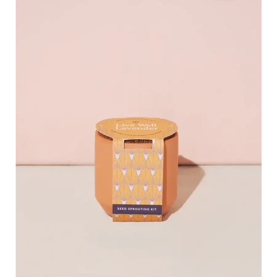 Tiny Terracotta - Lavender