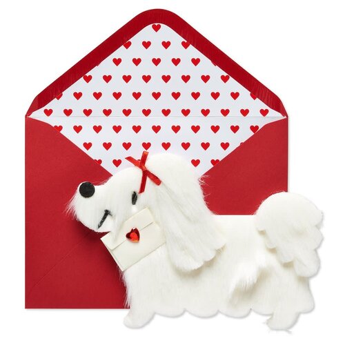  White Fur Dog w/ Letter Val Day Card 