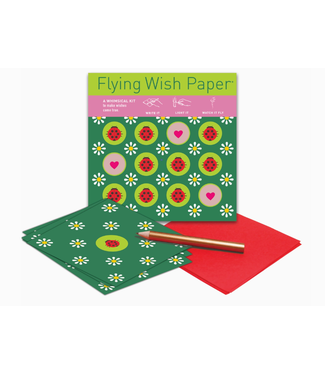 Flying Wish Paper Ladybug Wishing Kit