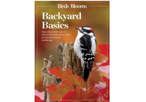  Simon & Schuster Backyard Basics Book 