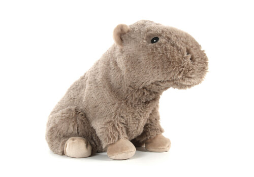  Warmies Capybara Warmie 