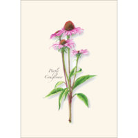 Garden Favorites Asst Boxed Cards