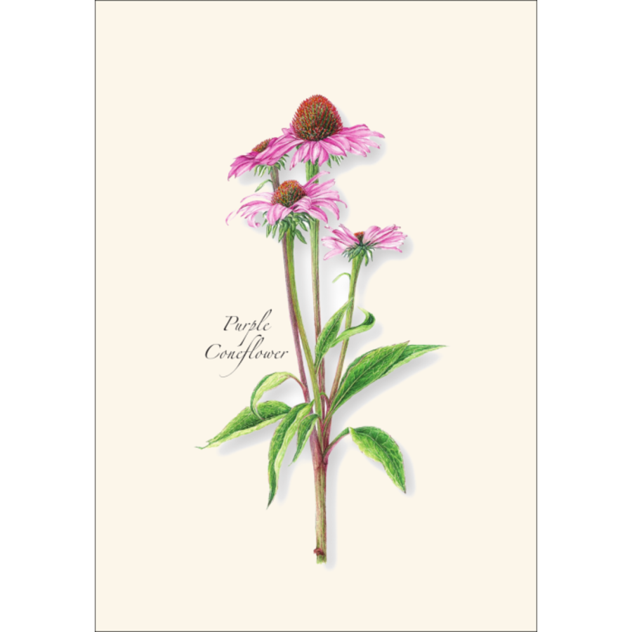 Garden Favorites Asst Boxed Cards