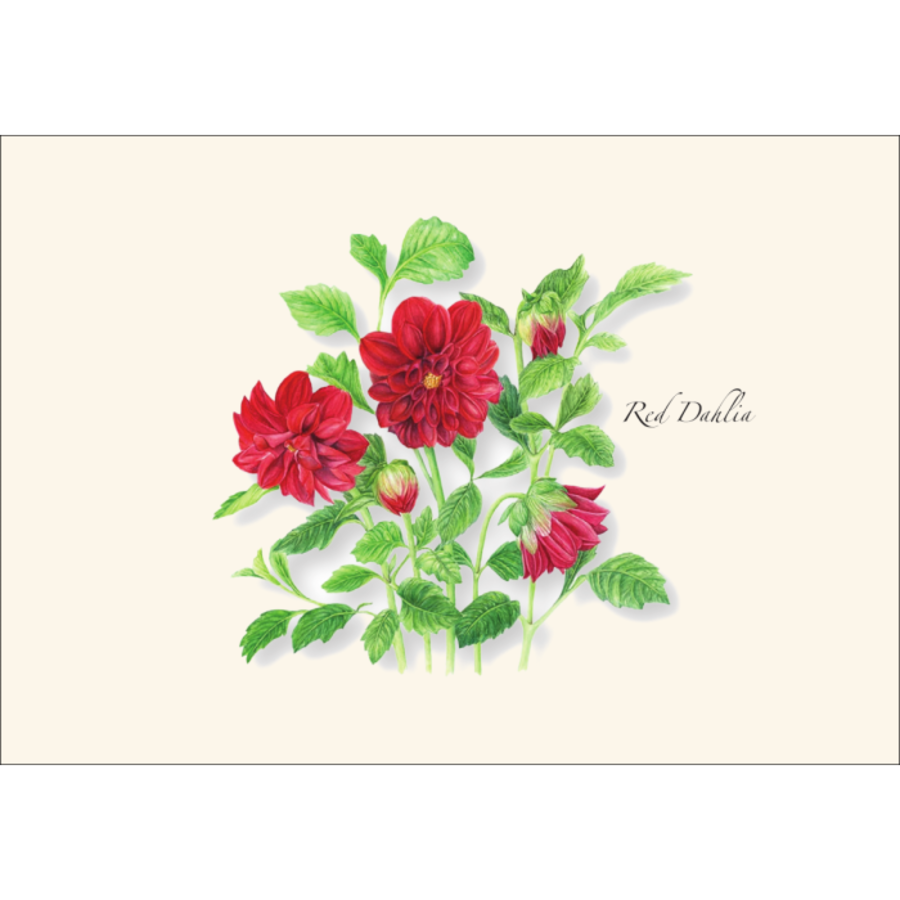 Garden Favorites Asst Boxed Cards