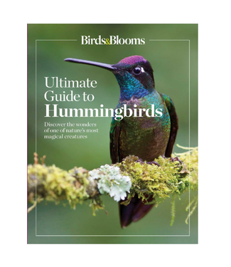 Guide to Hummingbirds Book