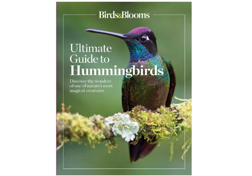 Guide to Hummingbirds Book 