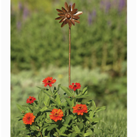 4" Flamed Zinnia Spinner