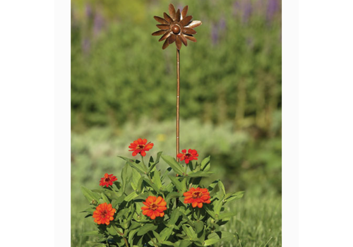  4" Flamed Zinnia Spinner 