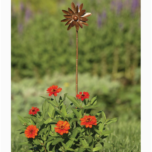  4" Flamed Zinnia Spinner 