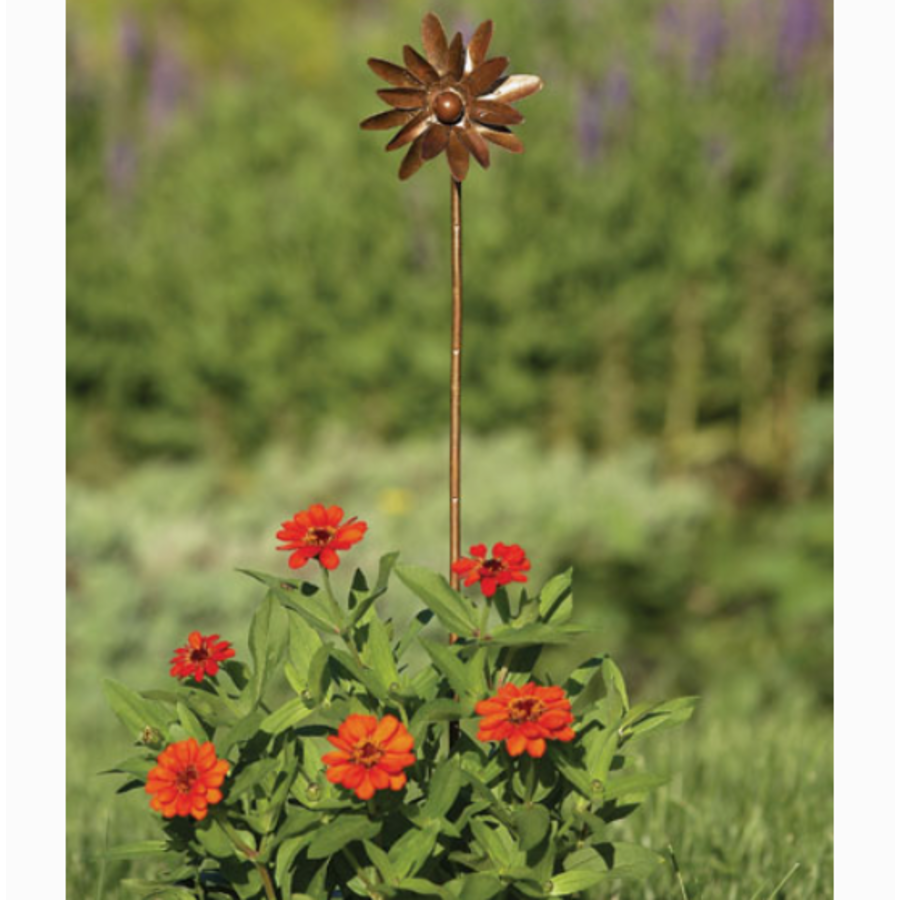 4" Flamed Zinnia Spinner