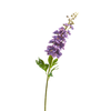 34" Delphinium Stem