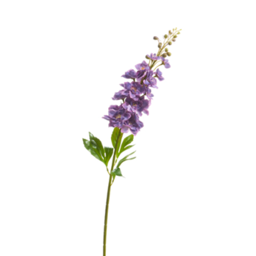  34" Delphinium Stem 
