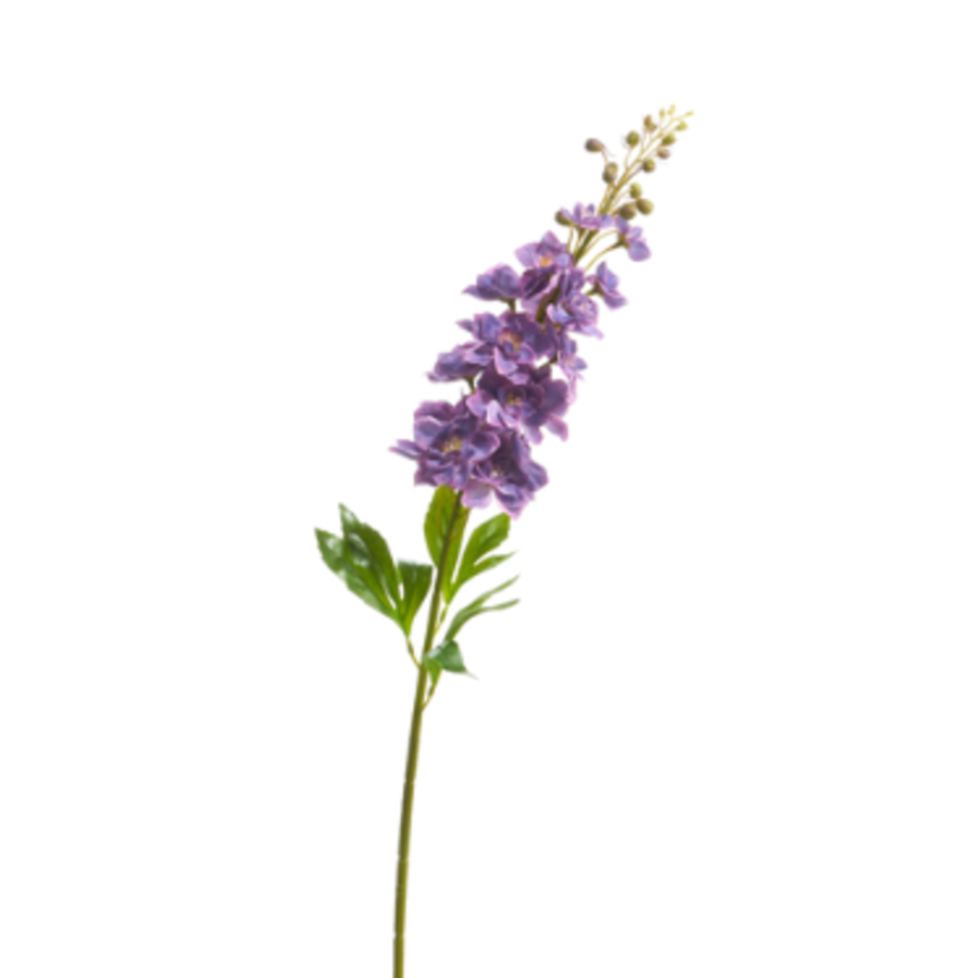 34" Delphinium Stem