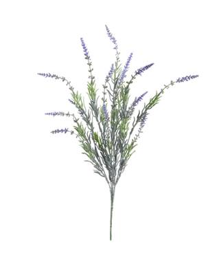 21" Lavender Bush