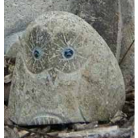 Owl Boulder 2"