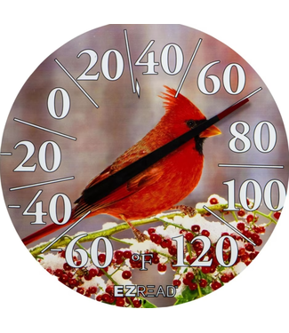 Bradley Caldwell, Inc In/Out Thermometer Cardinal