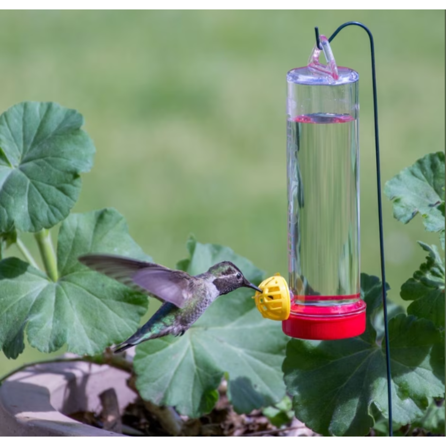 Pinch Waist Glass HB Feeder Clear 8 oz.