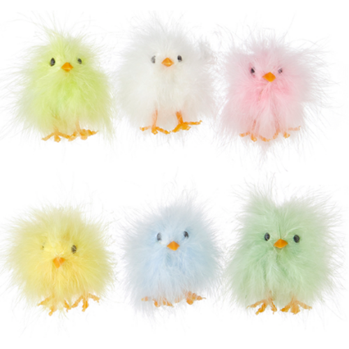  Individual Fluffy Chicks 